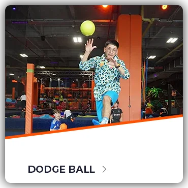SZ-DODGE BALL
